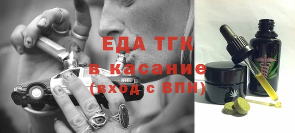 индика Медногорск