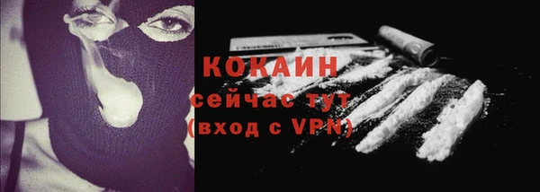 прущие крисы Мегион
