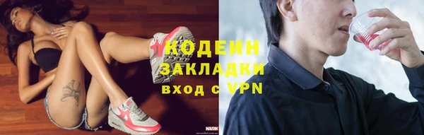 индика Медногорск