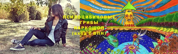ECSTASY Щигры