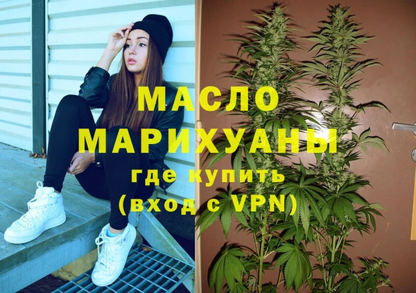 индика Медногорск