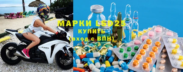 индика Медногорск