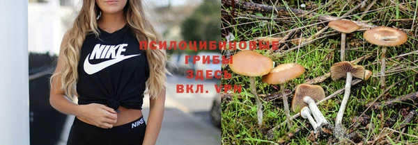мяу мяу мука Медвежьегорск