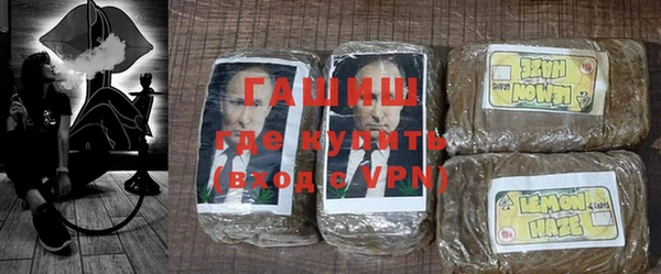 индика Медногорск