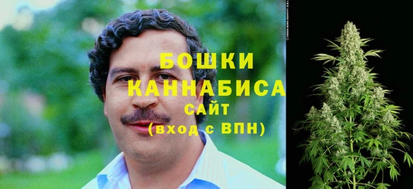 индика Медногорск