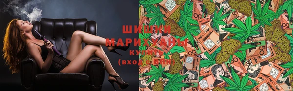 индика Медногорск
