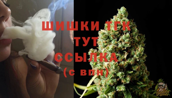 прущие крисы Мегион