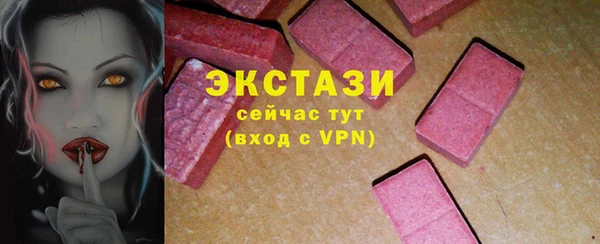 индика Медногорск