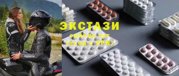 индика Медногорск