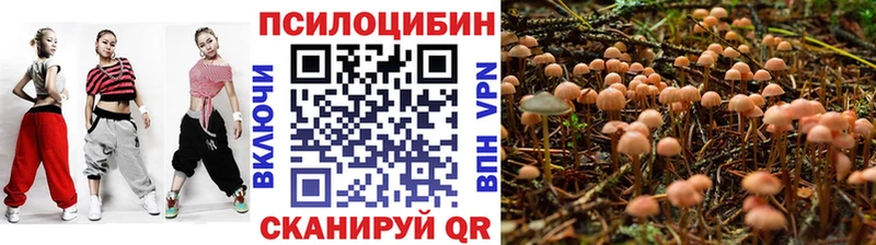 Галлюциногенные грибы прущие грибы omg ONION Красноярск