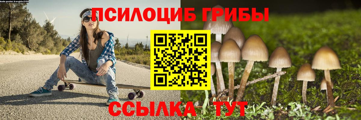 Галлюциногенные грибы Cubensis Красноярск