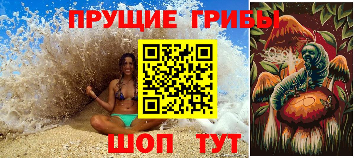 Галлюциногенные грибы прущие грибы  Вход с VPN  Красноярск  Галлюциногенные грибы мицелий 